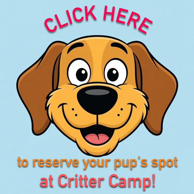 Click for a reservation