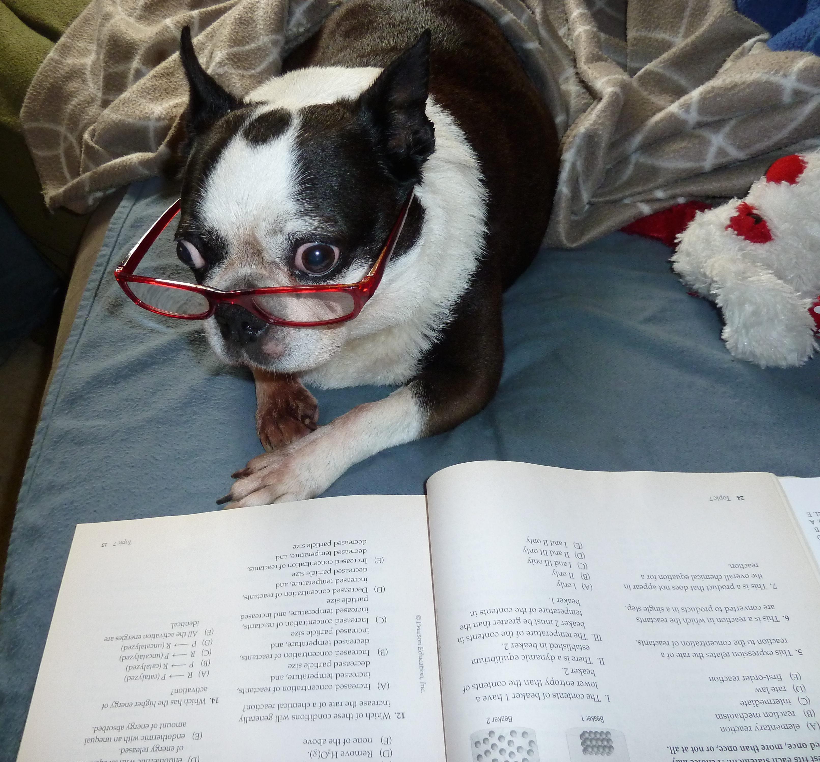 Oreo Bitting Reading